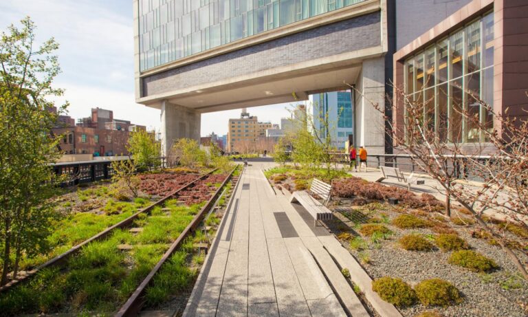 Best Green Roof Options: A 2026 Technical Guide for Urban