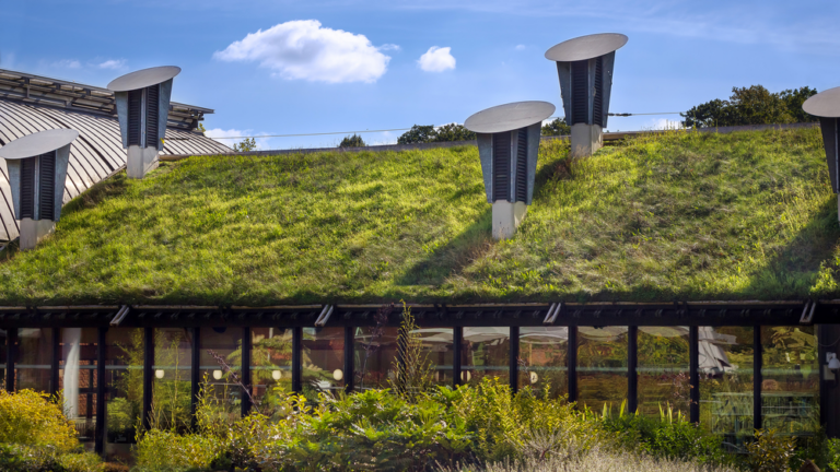 Best Green Roof Options: A Technical Guide to Sustainable Roofing