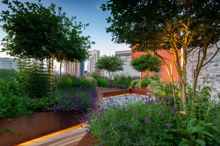 Best Rooftop Planters for Succulents: An Editorial & Technical