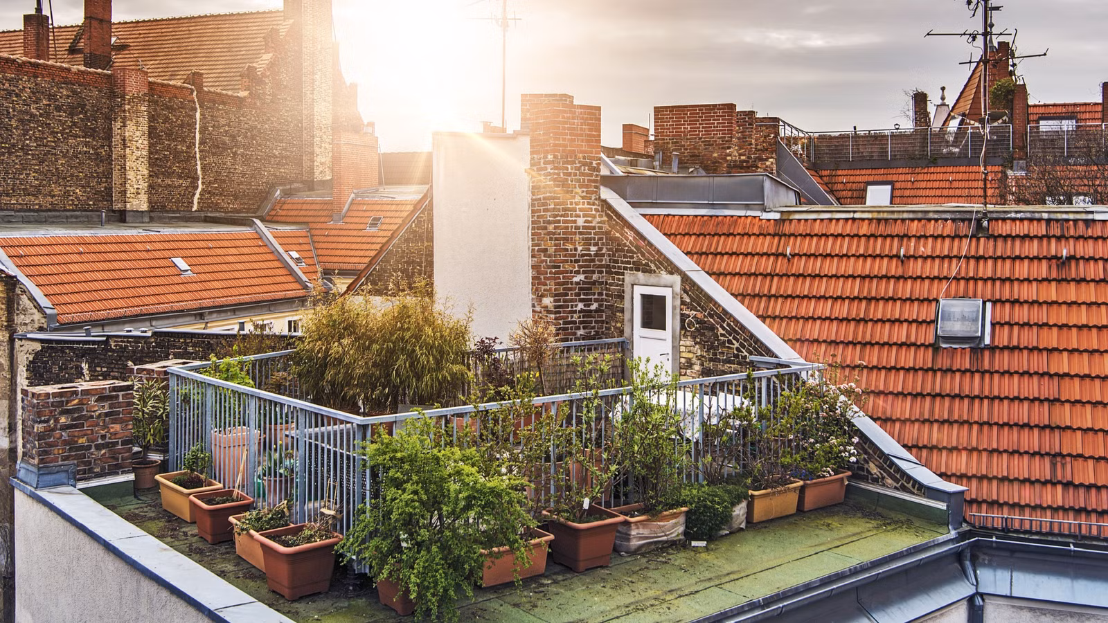 How to Avoid Rooftop Garden Leaks: A Technical Editorial Guide