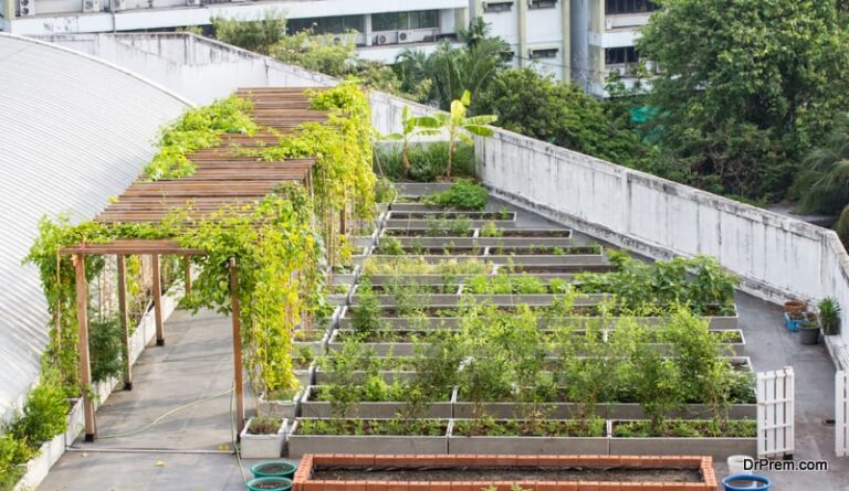 How to Avoid Structural Rooftop Gardens: A Guide to Building