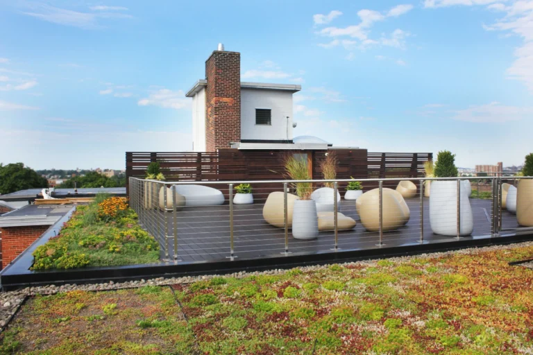 How to Manage Rooftop Pest Infestations: The Ultimate Guide