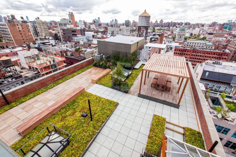 How to Plan Rooftop Greenery on a Budget: A Professional Guide