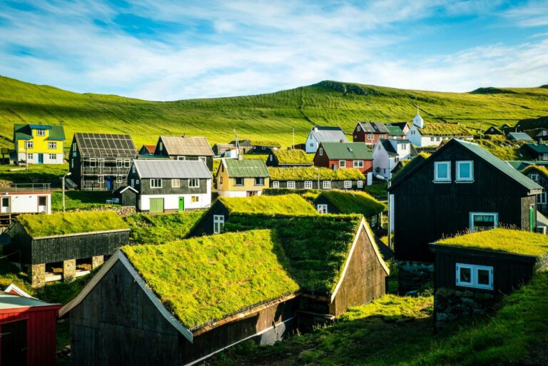 How to Reduce Heat Gain with Green Roofs: A Thermal Guide