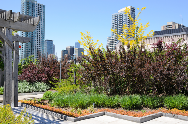 How to Reduce Rooftop Garden Maintenance Cost: An Editorial Guide