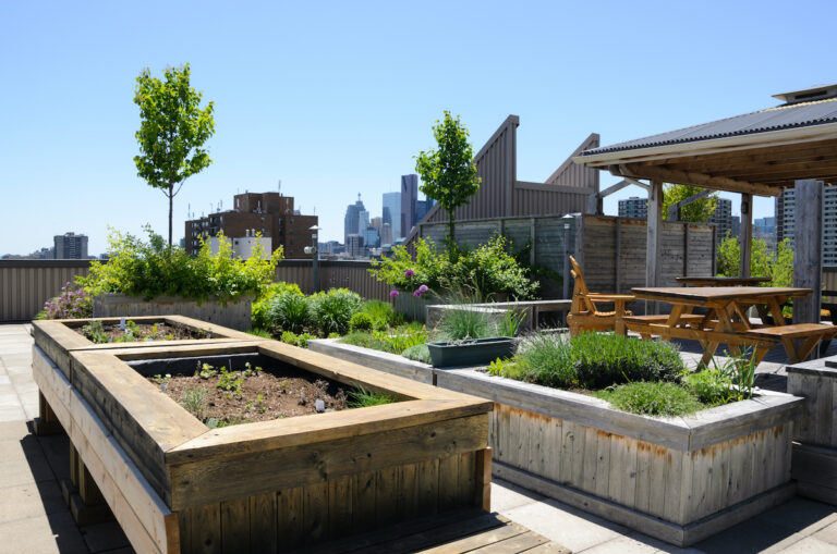 Rooftop Vegetable Garden Plans: A Deep Technical & Structural