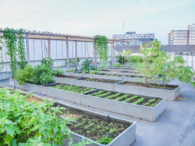 Top Urban Garden House Drainage Plans: An Editorial Guide